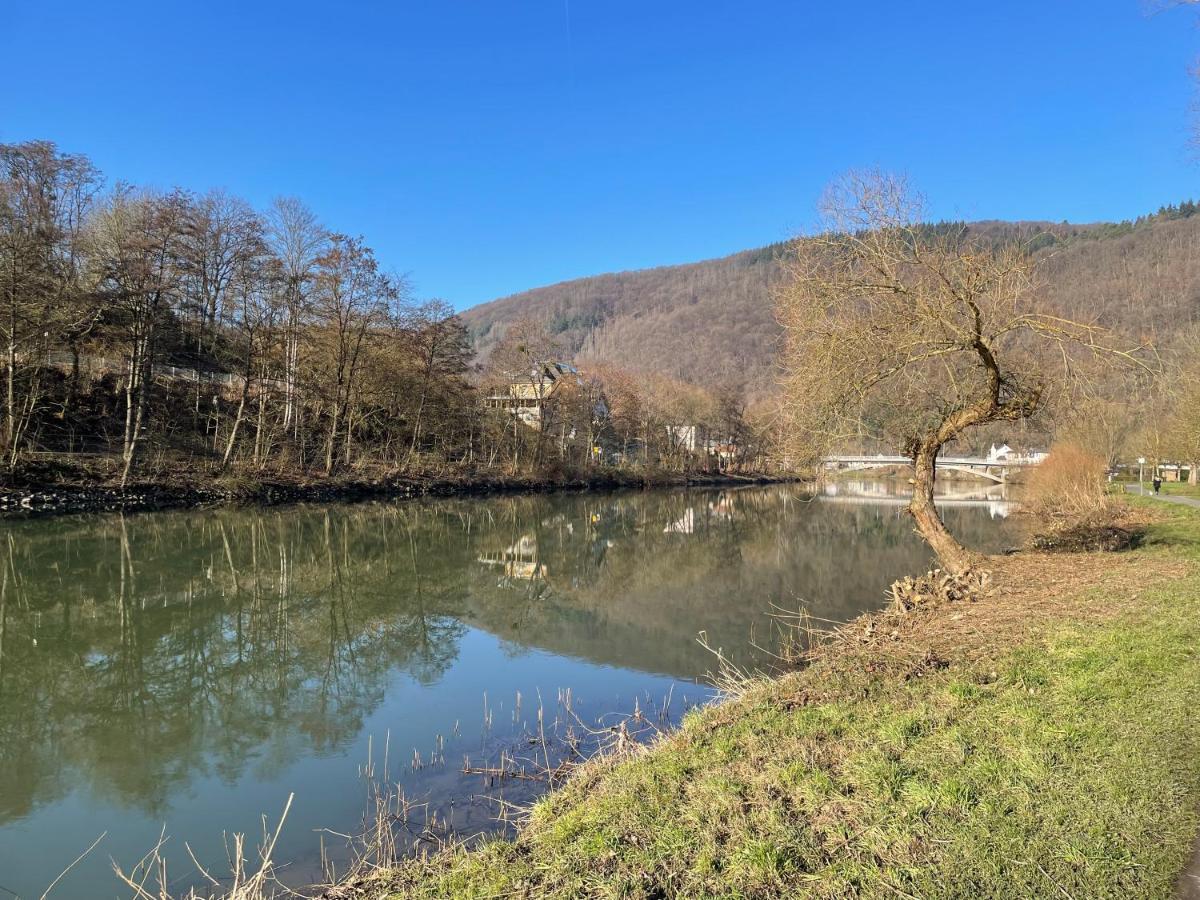 Ferienwohnung Bei Bad Ems Im Lahntal Fachbach Kültér fotó