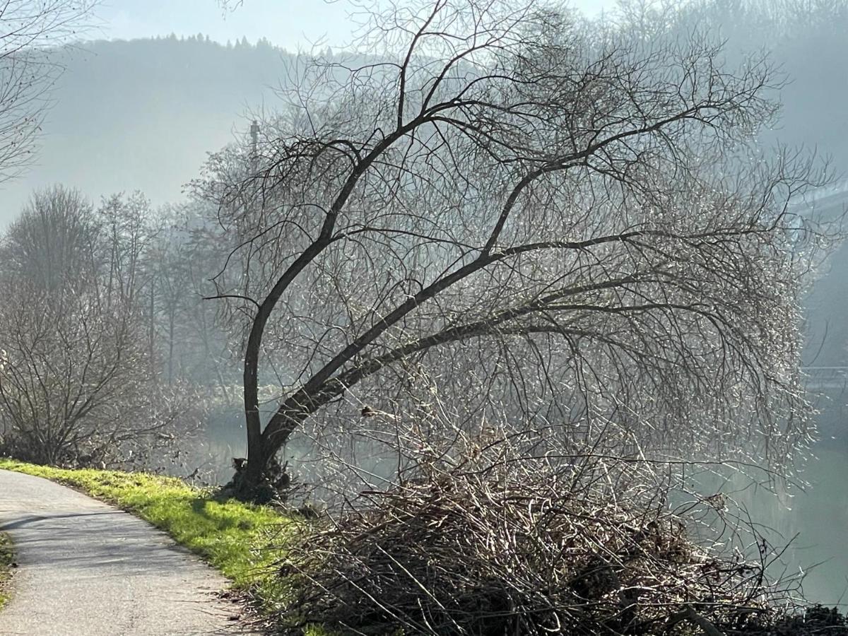 Ferienwohnung Bei Bad Ems Im Lahntal Fachbach Kültér fotó