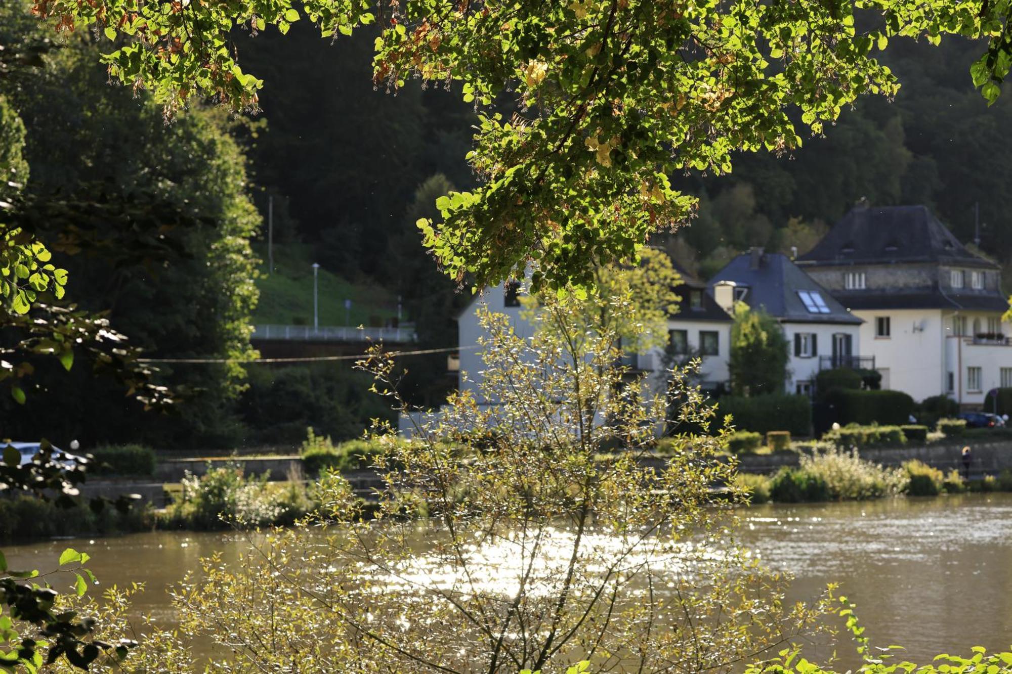 Ferienwohnung Bei Bad Ems Im Lahntal Fachbach Kültér fotó